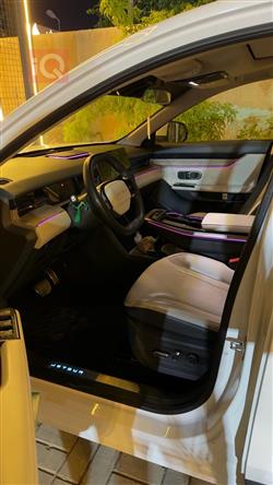 جیتۆر داشينگ